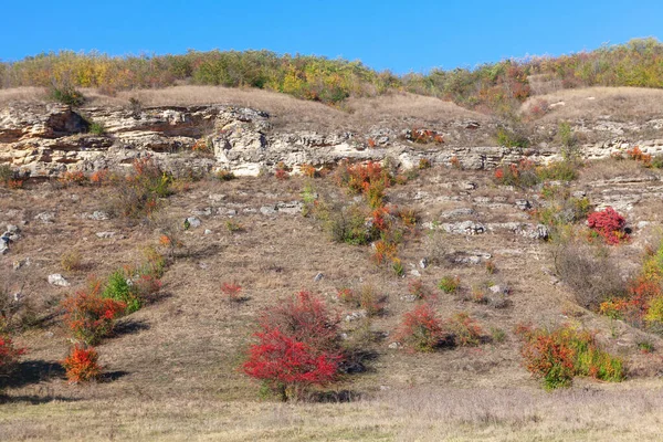 High Rocky Hill Vibrant Nature Autumn — ストック写真