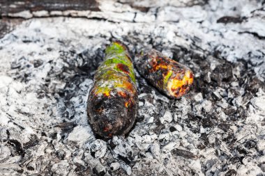 Kömürlü kabak. Sebzeli piknik