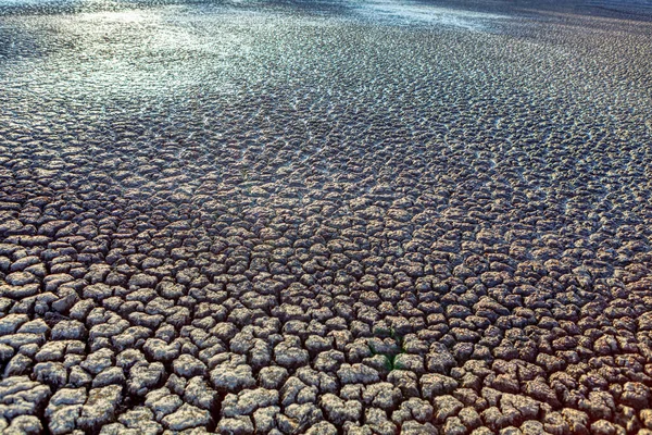 Ρωγμές Βυθού Λίμνης Φύση Μετά Την Κλιματική Αλλαγή — Φωτογραφία Αρχείου
