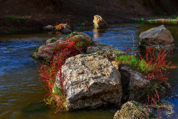 有岩石在水里的山河 流水中的大石头 — 图库照片