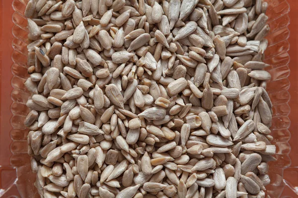 Sunflower Seeds Helianthus Annuus Harvested Background — Foto de Stock