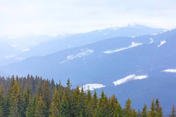 Winter Landscape Pine Trees Forest Mountain Scenery Winter Season — Stok fotoğraf