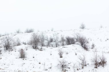 Snowy hill winter . Trees on the snow scenery 