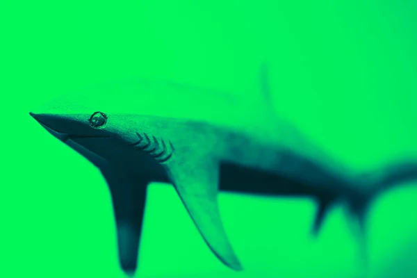 Miniature wooden shark . Figurine of predator fish