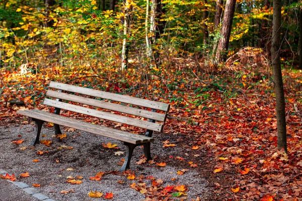 Bench Autumn Leaves Empty Seat Autumn Park — Fotografia de Stock