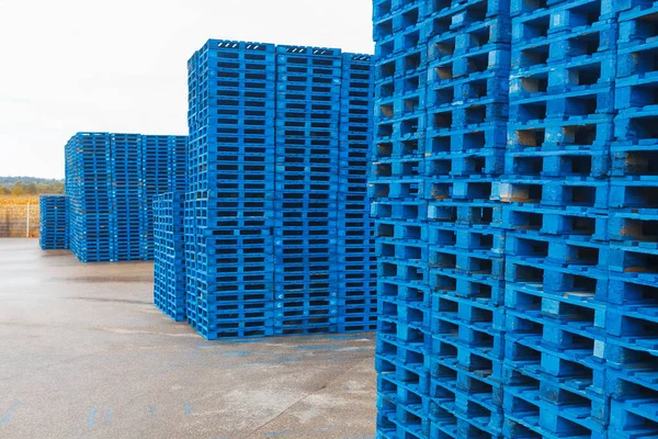 Wooden industrial pallets . Hardwood Empty Pallets at Warehouse