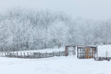 Gate and fence winter nature . Snowy nature reserve 