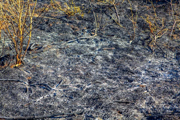 Terra Queimada Natureza Após Fogo Posto — Fotografia de Stock