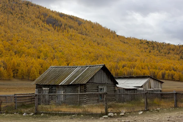 Rustikale Blockhütte auf der Insel Olchon im Baikalsee in Russland Stockbild