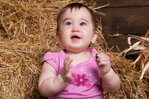 Happy girl in the hay — Stock Photo, Image