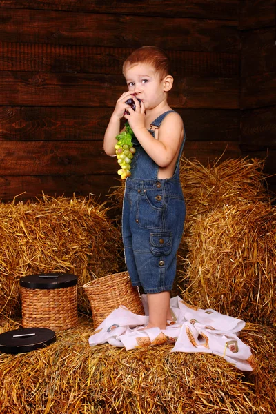 Портрет мальчика, стоящего на сене — стоковое фото