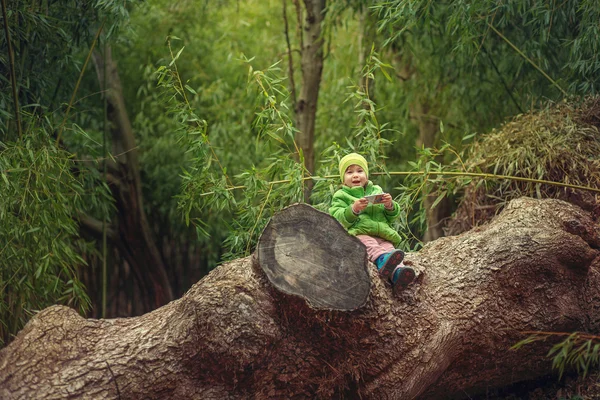 En liten flicka som sitter på det stora trädet — Stockfoto