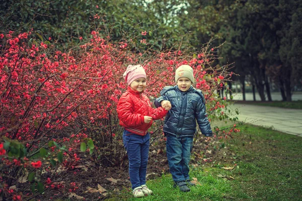 Brat i siostra na wiosnę — Zdjęcie stockowe