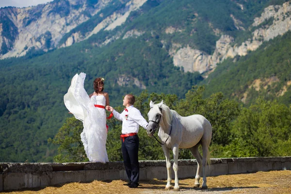 The bride and groom with a horse near the high mountains — Stock Photo, Image