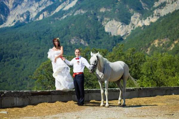 La novia y el novio con un caballo cerca de las altas montañas —  Fotos de Stock