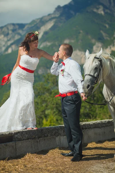 Le marié embrasse la main de la mariée — Photo