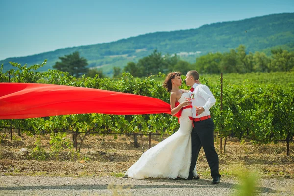 Bruden och brudgummen på bakgrund av vinodlingar — Stockfoto