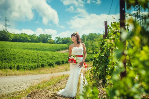 Braut in der Nähe von Weinbergen — Stockfoto