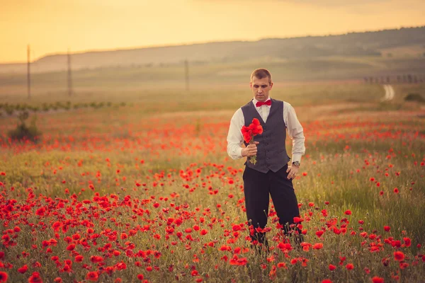 The groom in a poppy field — Stock Photo, Image