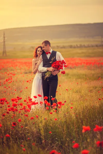 Los novios en un campo de amapola —  Fotos de Stock