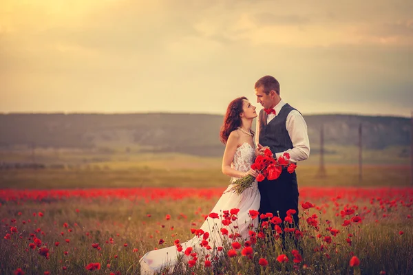 The bride and groom in a poppy field — Stock Photo, Image