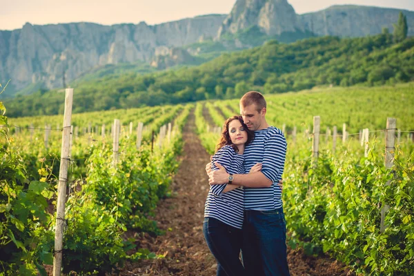 Pár v proužkované košile na vinici — Stock fotografie