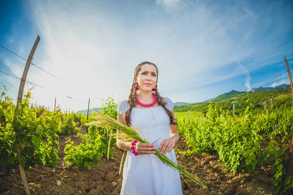 Beautiful girl in summer vineyard — Stock Photo, Image