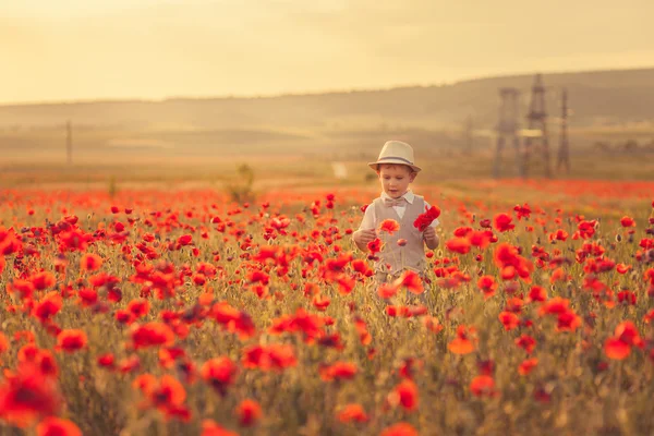 Poppies içinde bir oğlan — Stok fotoğraf