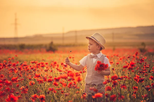 一个男孩在罂粟花 — 图库照片
