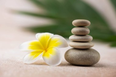 Gri ve beyaz Zen çakıl taşı piramitleri bej arka planda tropikal çiçekli meditasyon taşları. Uyum kavramı, denge ve meditasyon, spa, masaj, rahatlama