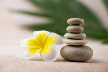 Pyramids of gray and white zen pebble meditation stones on beige background with plumeria tropical flower. Concept of harmony, balance and meditation, spa, massage, relax clipart
