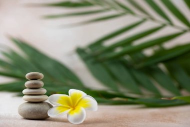 Gri ve beyaz Zen çakıl taşı piramitleri bej arka planda tropikal çiçekli meditasyon taşları. Uyum kavramı, denge ve meditasyon, spa, masaj, rahatlama