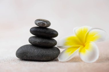 Gri ve beyaz Zen çakıl taşı piramitleri bej arka planda tropikal çiçekli meditasyon taşları. Uyum kavramı, denge ve meditasyon, spa, masaj, rahatlama