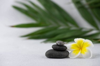Beyaz zemin üzerinde gri ve beyaz zen çakıl taşı meditasyon taşlarından piramitler ve plumeria tropikal çiçekleri. Uyum kavramı, denge ve meditasyon, spa, masaj, rahatlama