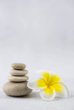 Beyaz zemin üzerinde gri ve beyaz zen çakıl taşı meditasyon taşlarından piramitler ve plumeria tropikal çiçekleri. Uyum kavramı, denge ve meditasyon, spa, masaj, rahatlama