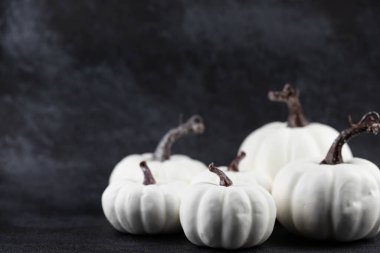 Cadılar Bayramı ya da Şükran Günü siyah arka planda beyaz balkabakları. Seçici odaklanma, bulanık. Sonbahar balkabağı hasadı