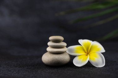 Gri ve beyaz Zen çakıl taşı piramitleri siyah zemin üzerinde tropik çiçekli meditasyon taşları. Uyum kavramı, denge ve meditasyon, spa, masaj, rahatlama