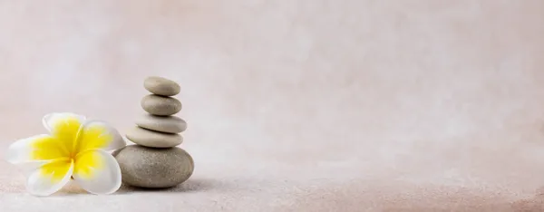 Gri ve beyaz Zen çakıl taşı piramitleri bej arka planda tropikal çiçekli meditasyon taşları. Uyum kavramı, denge ve meditasyon, spa, masaj, rahatlama