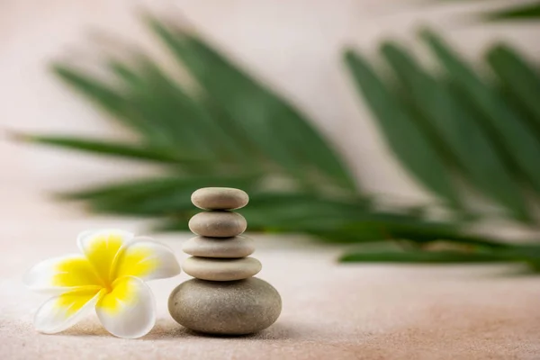 Gri ve beyaz Zen çakıl taşı piramitleri bej arka planda tropikal çiçekli meditasyon taşları. Uyum kavramı, denge ve meditasyon, spa, masaj, rahatlama