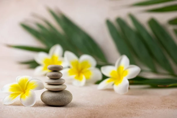 Gri ve beyaz Zen çakıl taşı piramitleri bej arka planda tropikal çiçekli meditasyon taşları. Uyum kavramı, denge ve meditasyon, spa, masaj, rahatlama