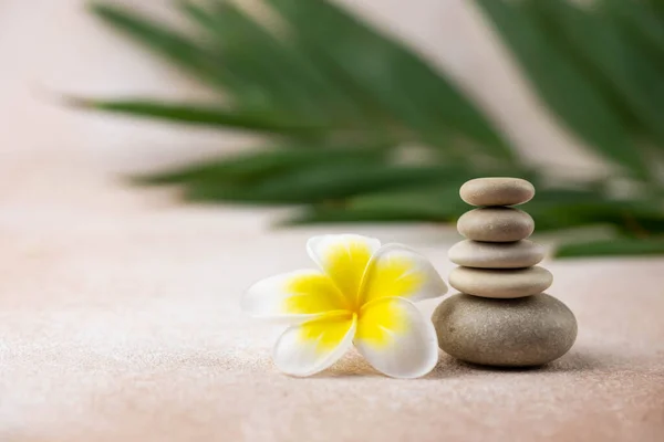 Gri ve beyaz Zen çakıl taşı piramitleri bej arka planda tropikal çiçekli meditasyon taşları. Uyum kavramı, denge ve meditasyon, spa, masaj, rahatlama