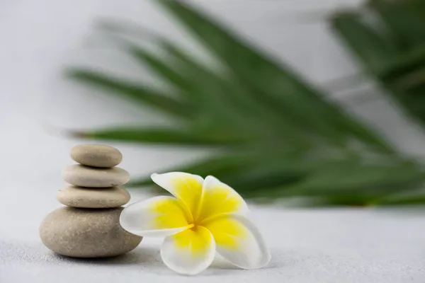 Piramisok Szürke Fehér Zen Kavics Meditációs Kövek Fehér Alapon Plumeria — Stock Fotó