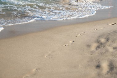 Deniz ya da okyanus manzarası. Güneşin altında deniz dalgaları. Yaz tatili ve seyahat konsepti. Su dalgası yüzeyi. Kumsal. 