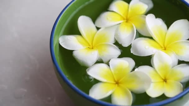 Composição Spa Bonita Com Flores Plumeria Tigela Com Gotas Água — Vídeo de Stock