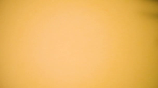 Sombra Silueta Abstracta Hojas Palma Tropical Sobre Fondo Amarillo Movimiento — Vídeo de stock