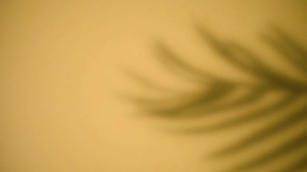 Sombra Silhueta Abstrata Folhas Palma Tropicais Fundo Amarelo Movimento Sombras — Vídeo de Stock