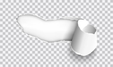 Saydam arkaplan üzerinde yuvarlanmış kenarlı vektör gerçekçi yırtık kağıt - metin veya tasarım için çerçeve