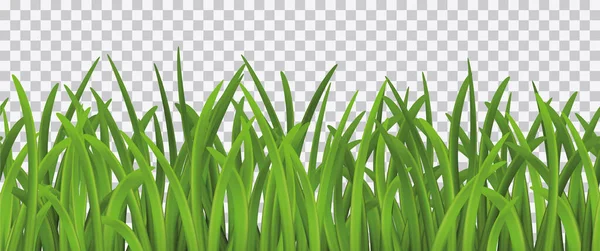 透明背景下明亮的绿色青草无缝图案 — 图库矢量图片