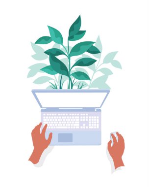 Dizüstü bilgisayarından büyüyen bitkiyle beyaz arka planda izole edilmiş vektör düz iş büyümesi çizelgesi