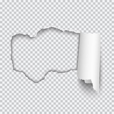 Yuvarlak kenarlı ve şeffaf arkaplan ile beyaz kağıt yırtılmış vektör gerçekçi delik